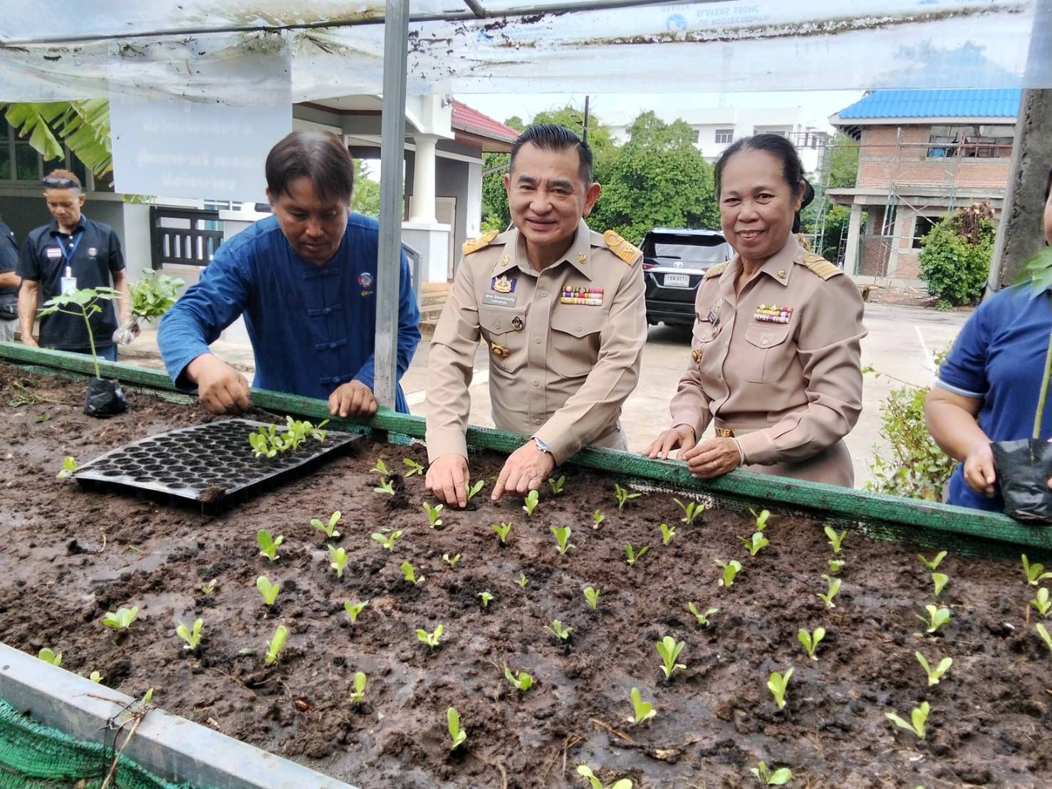 พช.บ้านไผ่ : " Quick Win " 90 วัน ปลูกผักสวนครัว เพื่อสร้างความมั่นคงทางอาหาร สู่ภัยวิกฤตด้วยวิถีพอเพียง ณ บ้านพักนายอำเภอบ้านไผ่